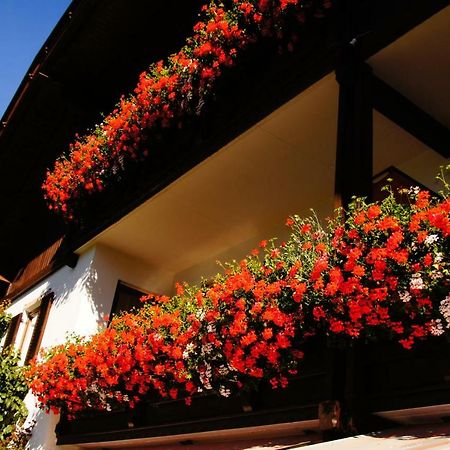 Pension Appartement Santl Anterselva di Sotto 外观 照片