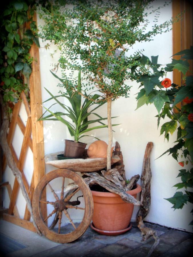 Pension Appartement Santl Anterselva di Sotto 外观 照片